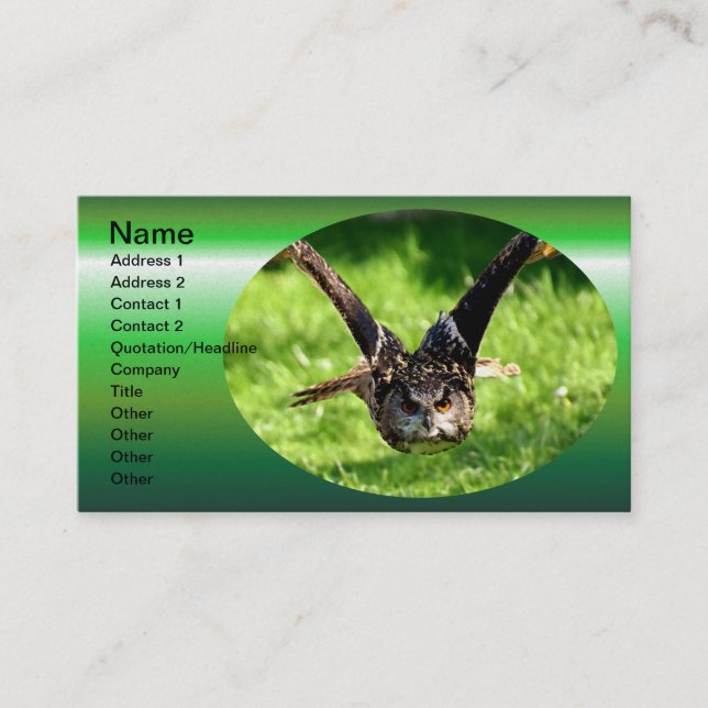 Wild Eagle Owl in Full Flight Business Card (Front)