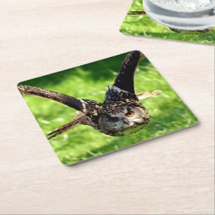 Wild Eagle Owl in Full Flight Square Paper Coaster