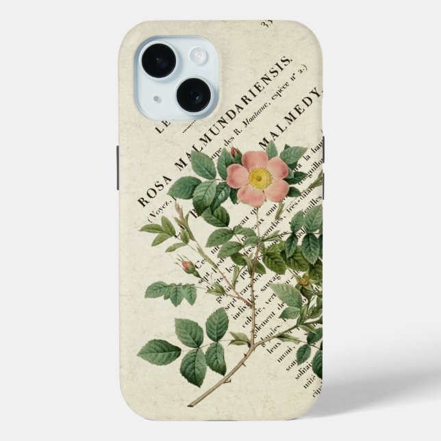 Wild Elegance: Rosa malmundariensis iPhone Case (Back)