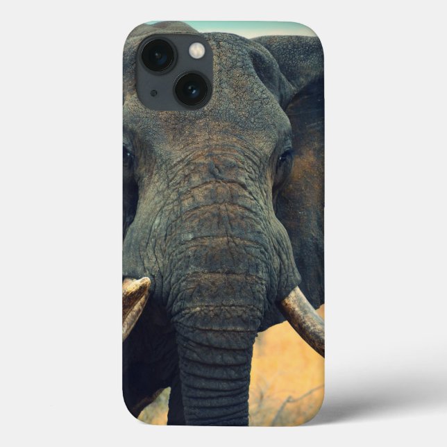 Wild Elephant Close Up iPad Air case (Back)