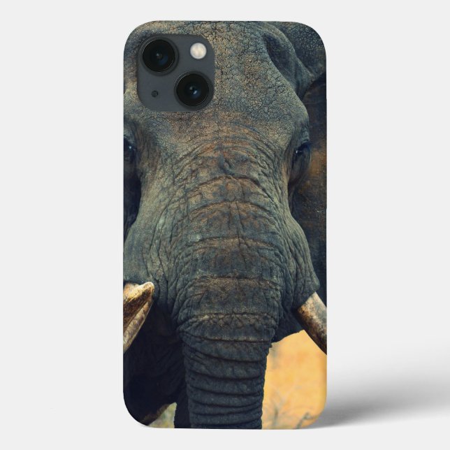 Wild Elephant Close Up iPad Mini case (Back)