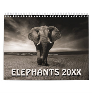 Wild Elephants Calendar