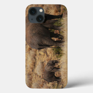Wild Elephants with Baby iPad Air cases