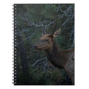 Wild Elk in Pine Forest - Deer Wildlife Photograph Notebook