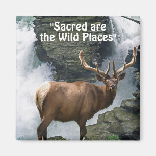 Wild Elk & Waterfall Wilderness Gift Magnets