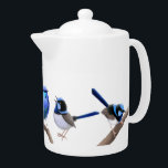 Wild Fairy Wren Birds Teapot<br><div class="desc">Original fine art design of wild blue Fairy wrens by artist Carolyn McFann of Two Purring Cats Studio printed on a dishwasher and microwave safe,  porcelian teapot for bird lovers. 
 
 See a few of our products below (click to go to that product) and visit our very artistic stores at:</div>