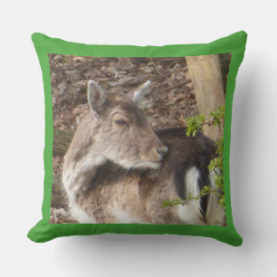 Wild Fallow Deer Throw Pillow