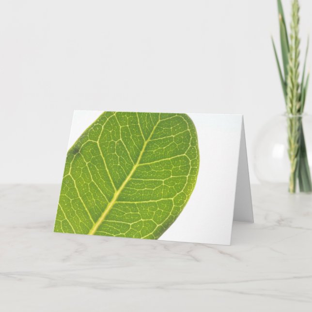 Wild Fig Rich Green Leaf Texture Greeting Card (Front)