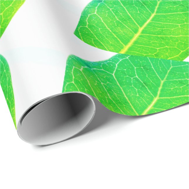 Wild Fig Rich Green Leaf Texture Wrapping Paper (Roll Corner)