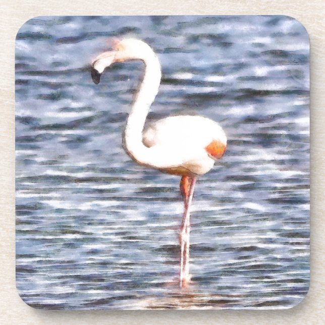 Wild Flamingo Coaster (Front)
