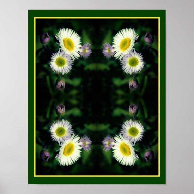 Wild Fleabane Daisy Flower Close Up Abstract Poster (Front)