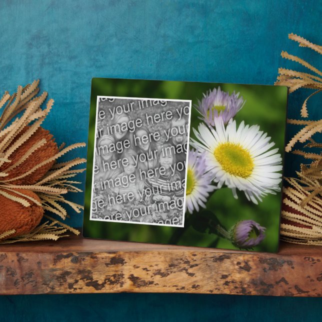 Wild Fleabane Daisy Flower Create Your Own Photo Plaque (Side)
