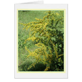 Wild Flower Card