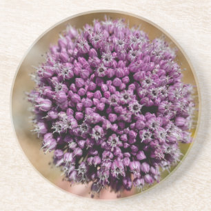 Wild Flower Coaster
