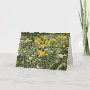 Wild Flower Field Common Daisy Brown Eyed Susan Card