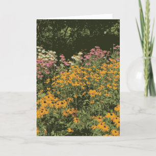 Wild Flower Garden Cone Flowers Black Eyed Susans Card