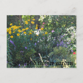 Wild flower garden postcard