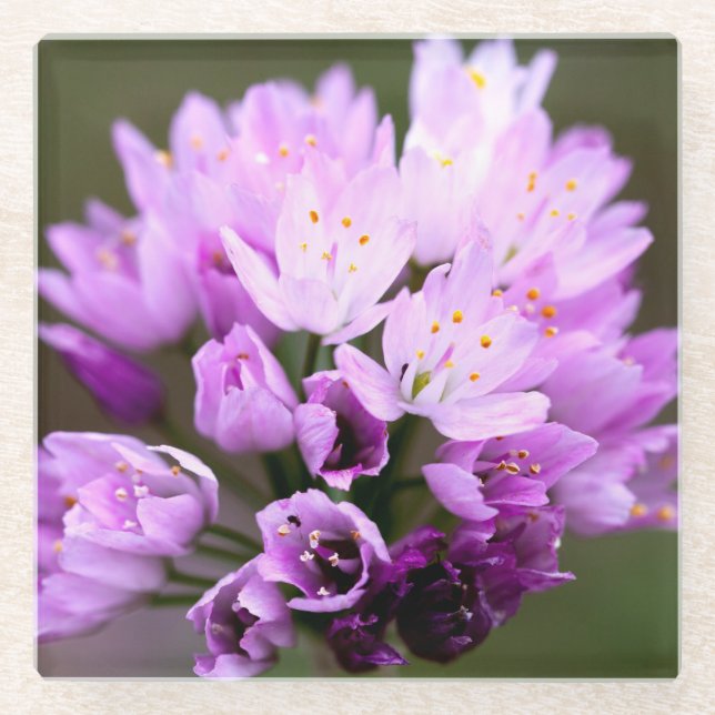 Wild Flower Glass Coaster (Front)