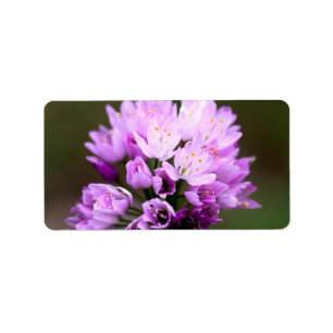Wild Flower Label