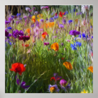 Wild Flower Meadow, Cornflowers And Poppies Poster