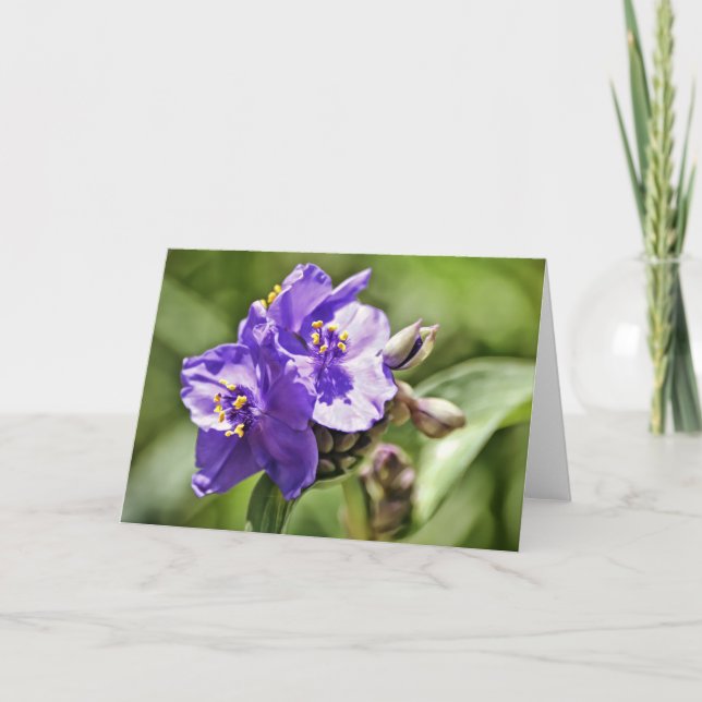 Wild Flower Scripture  Note Card Hebrews 11:1 (Front)