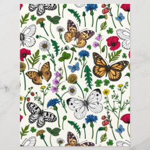 Wild flowers and butterflies on white