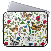 Wild flowers and butterflies on white