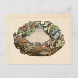 Wild Flowers by Grant Wood Postcard