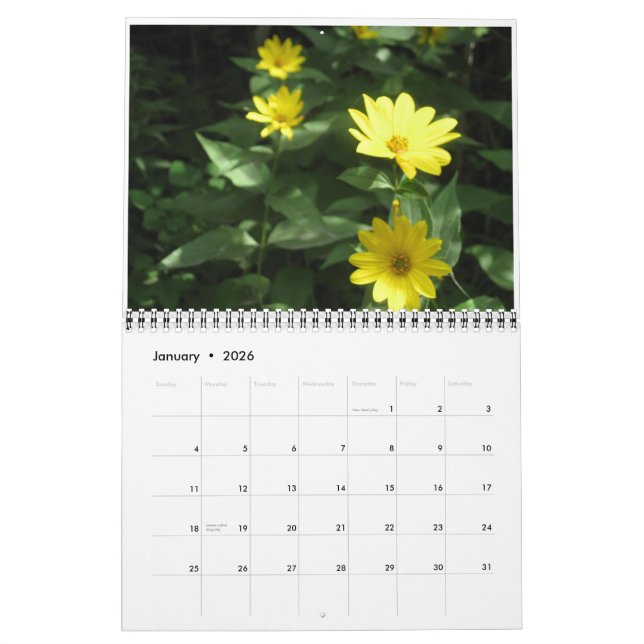 Wild flowers calendar (Jan 2026)
