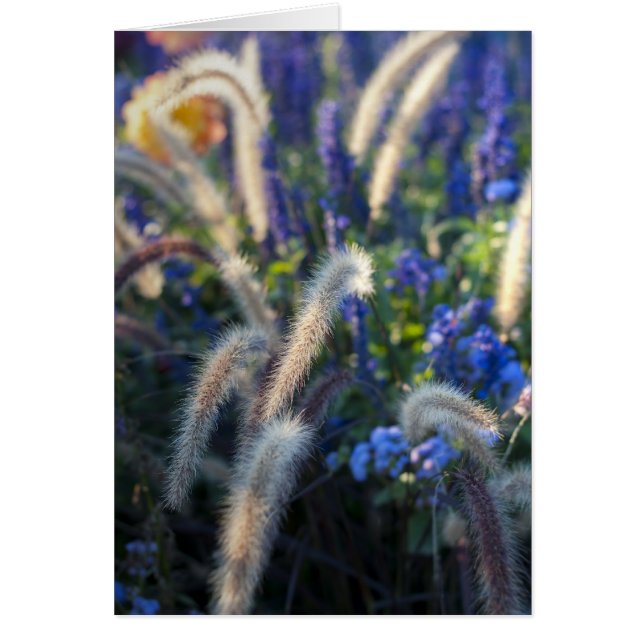 Wild Flowers Card (Front)