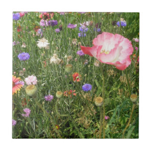 Wild Flowers Ceramic Tile