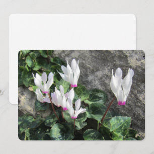 Wild Flowers Flat Holiday Card