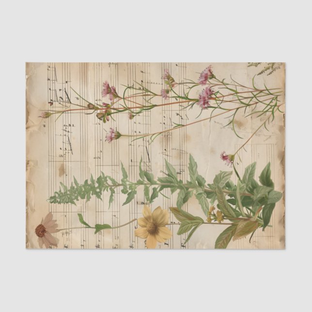 Wild flowers floral vintage music sheet ephemera (Front)