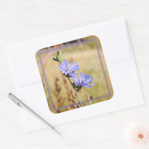 Wild Flowers in the Morning Square Sticker