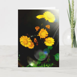 Wild flowers in the sunshine card