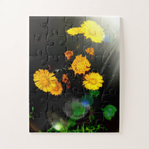 Wild flowers in the sunshine jigsaw puzzle