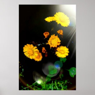 Wild flowers in the sunshine poster