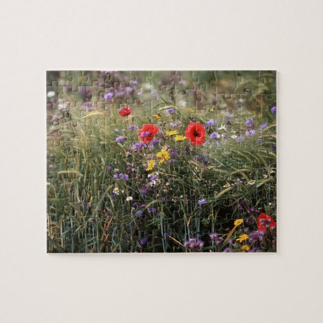 Wild flowers jigsaw puzzle (Horizontal)