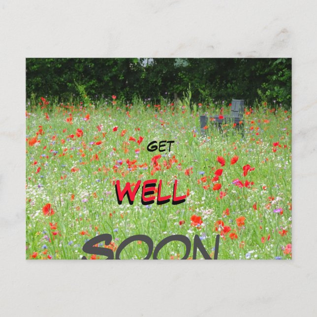 Wild Flowers Poppies Bench Get Well Soon Postcard (Front)