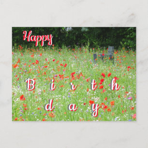 Wild Flowers Poppies Bench Happy Birthday Postcard