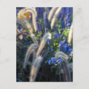 Wild Flowers Postcard