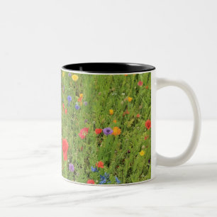 Wild flowers Spring Photo Two-Tone Mug