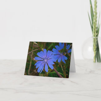Wild flowers thank you card