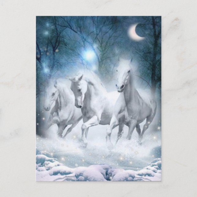 Wild Flurry Postcard (Front)