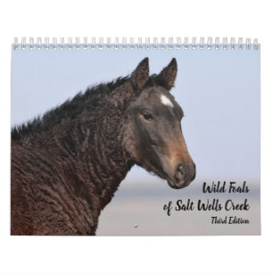 Wild Foals of Salt Wells Creek Calendar