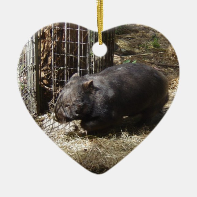 Wild For Wombats Ceramic Tree Decoration (Front)