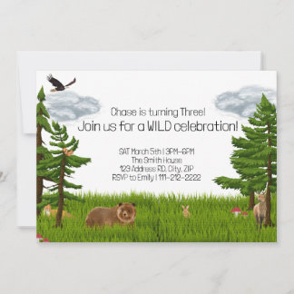 Wild Forest Animals Colour Pencil Birthday Invitation