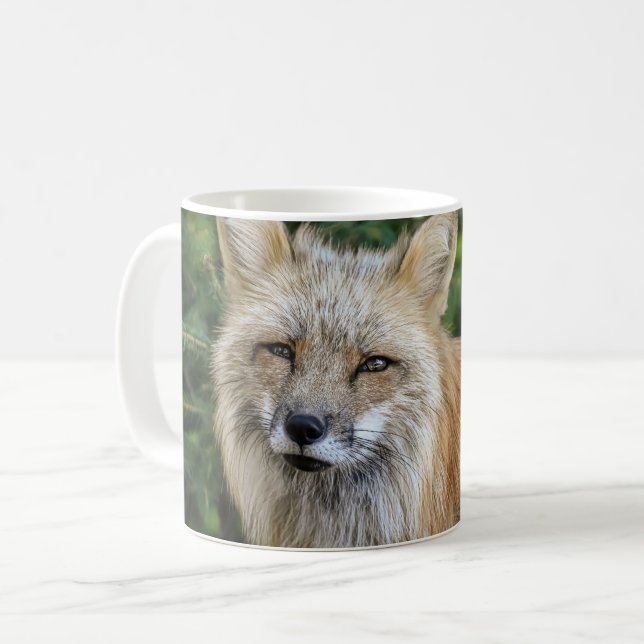 Wild Fox Coffee Mug (Front Left)