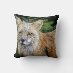Wild Fox Cushion