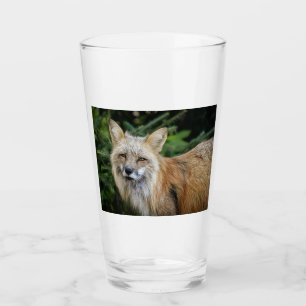 Wild Fox Glass
